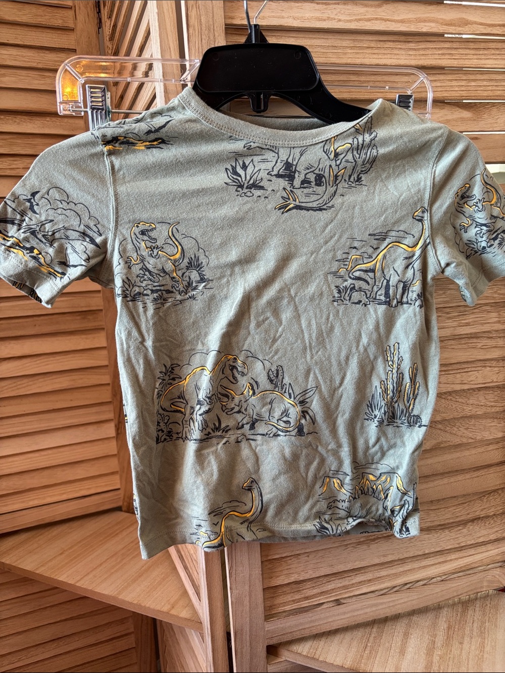 Children's Sage Green Dinosaur Tee 6